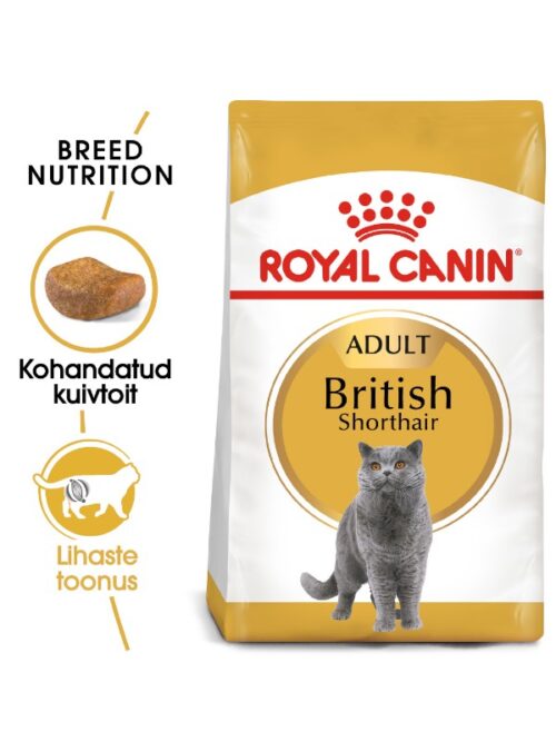 Royal Canin kuivtoit Briti lühikarvalistele kassidele