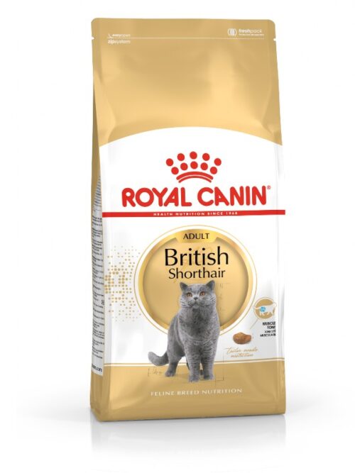 Royal Canin kuivtoit Briti lühikarvalistele kassidele