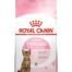 Royal Canin Kitten Sterilised kuivtoit steriliseeritud kassipojale