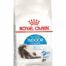 Royal Canin Indoor Long Hair kuivtoit pikakarvalistele toakassidele