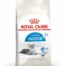 Royal Canin Indoor 7+ kuivtoit tubastele seenioritele