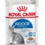 Royal Canin Indoor Jelly konserv kassidele