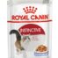 Royal Canine Instinctive Jelly vedeltoit kassidele