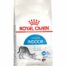 Royal Canin Indoor kuivtoit tubastele kassidele