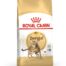 Royal Canin kuivtoit Bengali tõugu kassidele