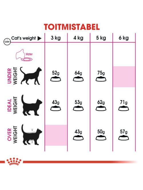 Royal Canin Protein Exigent kuivtoit kassidele