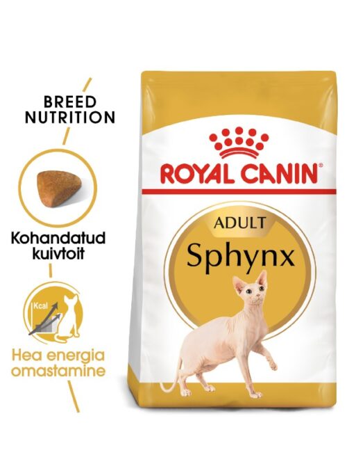 Royal Canin kuivtoit sfinksi tõugu kassidele