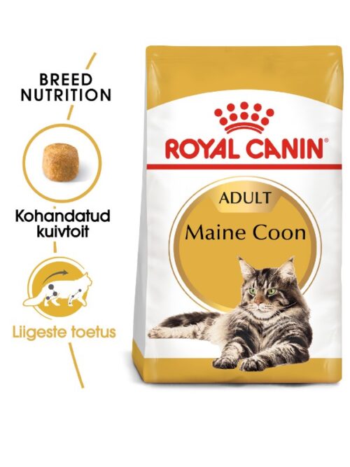 Royal Canin Maine Coon Adult kuivtoit täiskasvanud tõukassidele