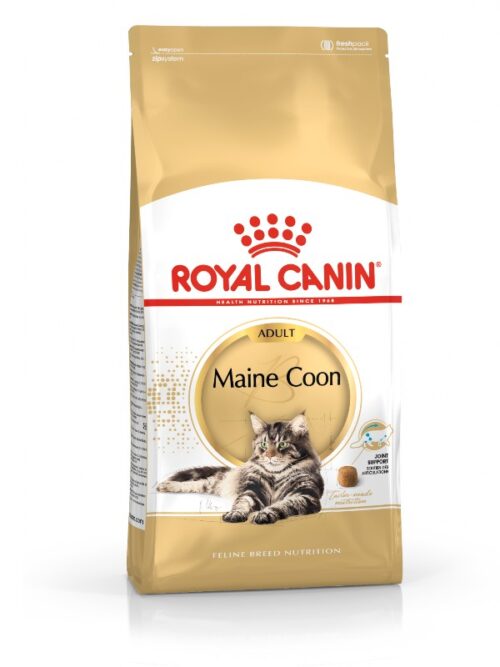 Royal Canin Maine Coon Adult kuivtoit täiskasvanud tõukassidele