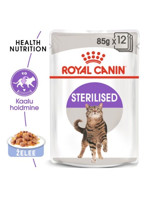 Royal Canin Sterilised Jelly konserv steriliseeritud kassidele