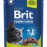 Brit Premium märgtoit kassidele 100g