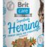 Brit Care Superfruits 100g, heeringas ja astelpaju