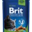 Brit Premium märgtoit kassidele 100g