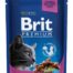 Brit Premium märgtoit kassidele 100g