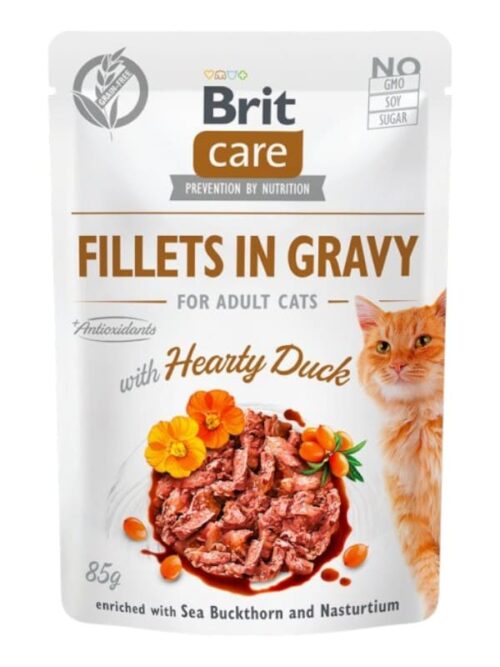 Brit Care Fillets märgtoit kassile