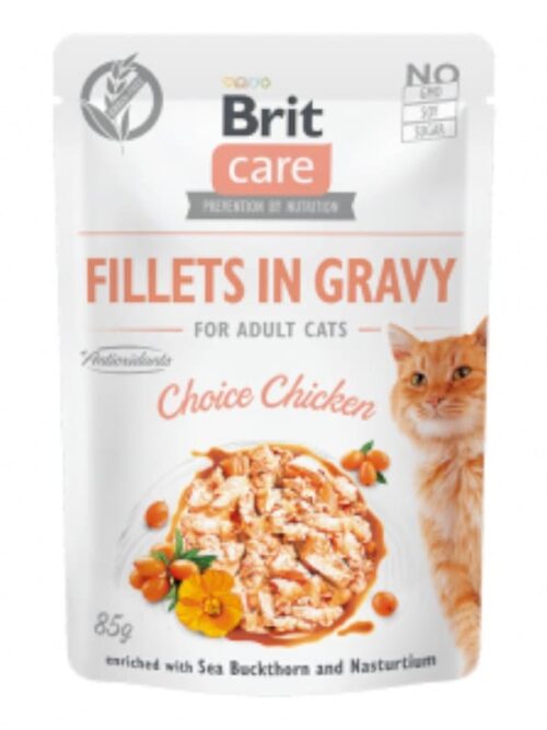 Brit Care Fillets märgtoit kassile