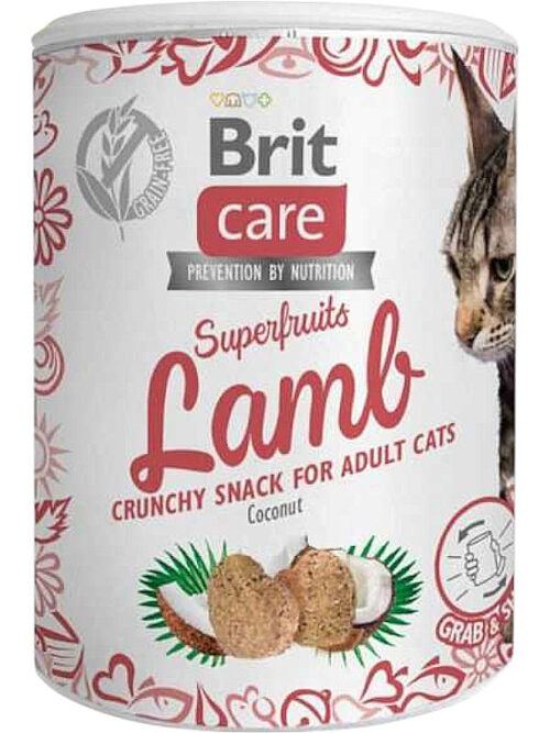 Brit Care Superfruits 100g, lammas ja kookos