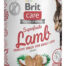 Brit Care Superfruits 100g, lammas ja kookos