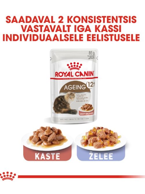 Royal Canin Ageing 12+ täissööt seeniorkassidele