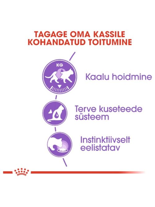 Royal Canin Sterilized Loaf märgtoit kassidele 12 x 85 g