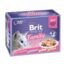 Brit Premium assortii "Family Plate Jelly" 12x85g