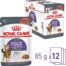 Royal Canin Appetite Control Gravy 12x85 g