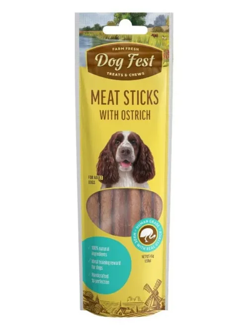Dogfest maiused koertele