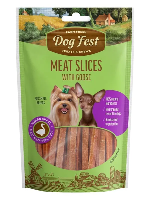 Dogfest maiused koertele