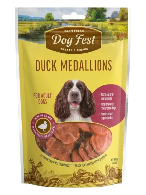 Dogfest maiused koertele