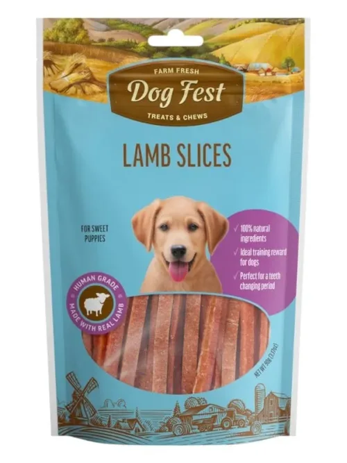 Dogfest maiused koertele