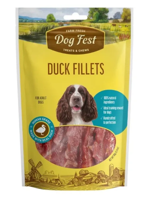 Dogfest maiused koertele