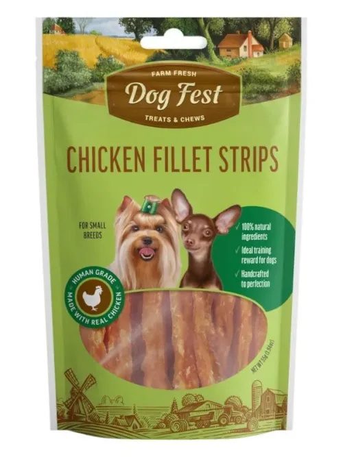 Dogfest maiused koertele