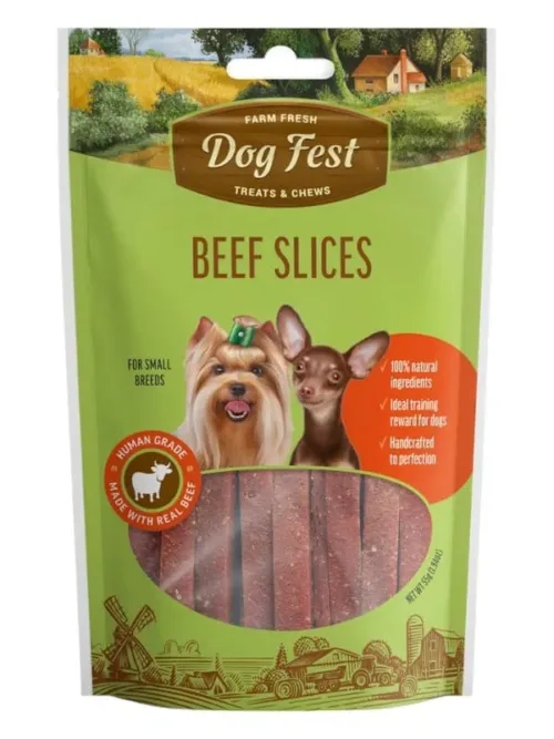 Dogfest maiused koertele