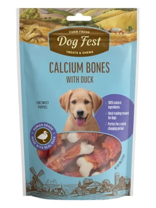 Dogfest maiused koertele
