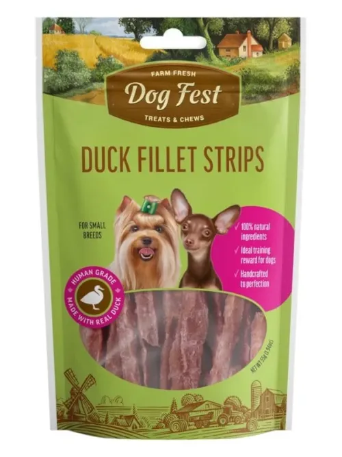 Dogfest maiused koertele