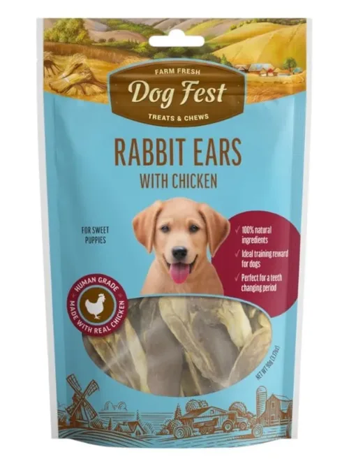 Dogfest maiused koertele