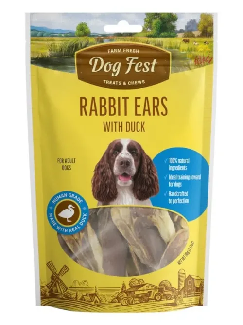 Dogfest maiused koertele