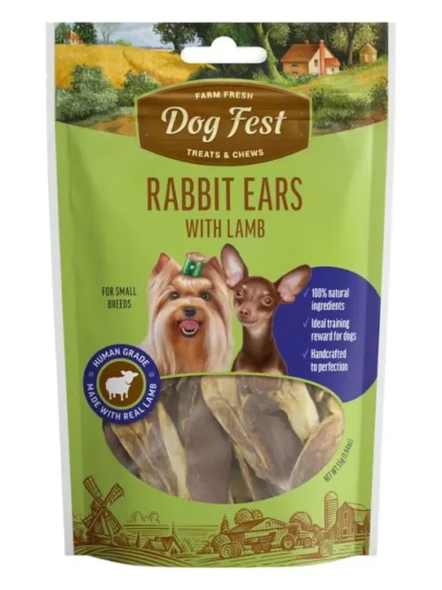 Dogfest maiused koertele