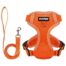 Kassi traksid + jalutusrihm, oranz S (1.5-3kg)