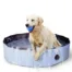Koerte bassein Coolpets 80x20cm