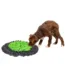 Nuuskimismatt koerale Eat Slow Live Longer 50cm