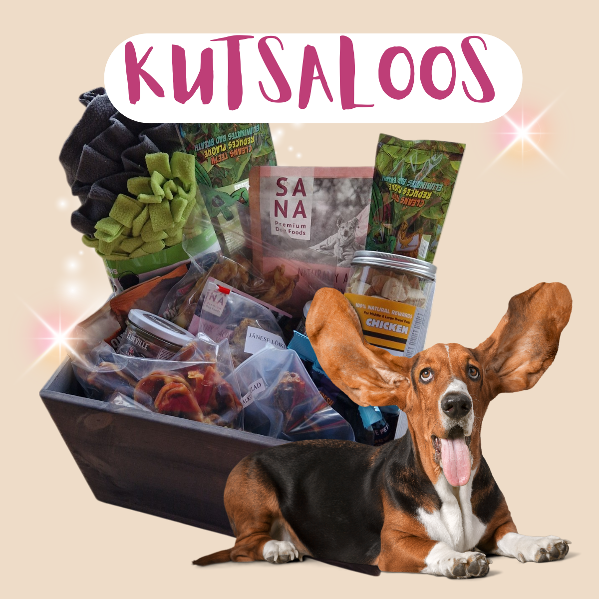 Kutsaloos