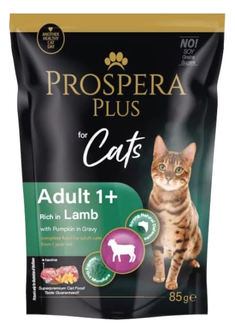 Prospera Plus 1+ täiskasvanule lamba ja kõrvitsaga, 85g