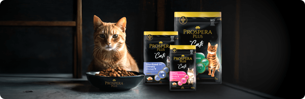 Prospera pluss kassidele