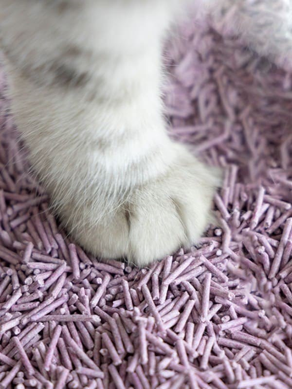 Tofu kassiliiv Uniq Pets lavendel 4x 5kg