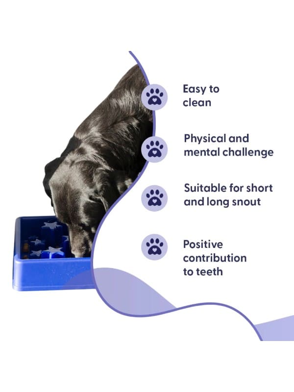 Eat slow live longer Star kauss, sinine L