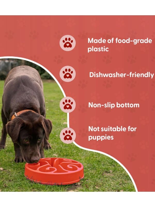 Eat slow live longer kauss, punane S