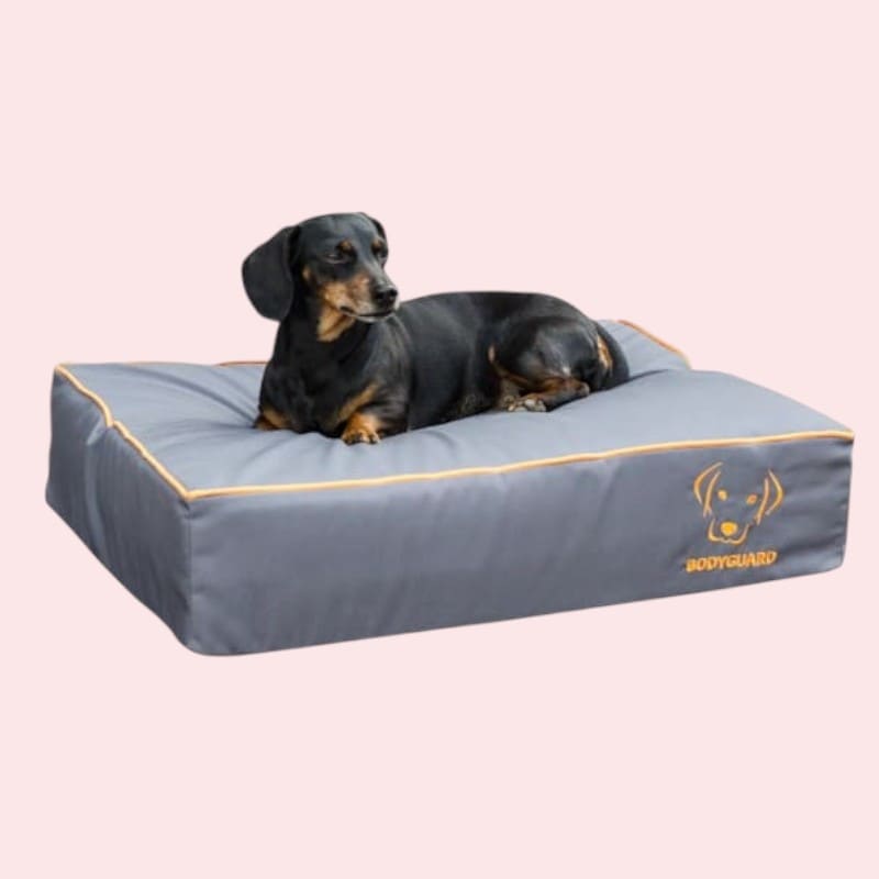 Pesad koertele kategooria