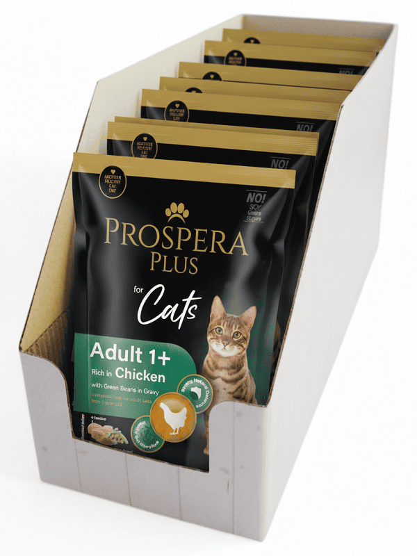 Prospera Plus 1+ täiskasvanule, kana ja oad, 24x 85g