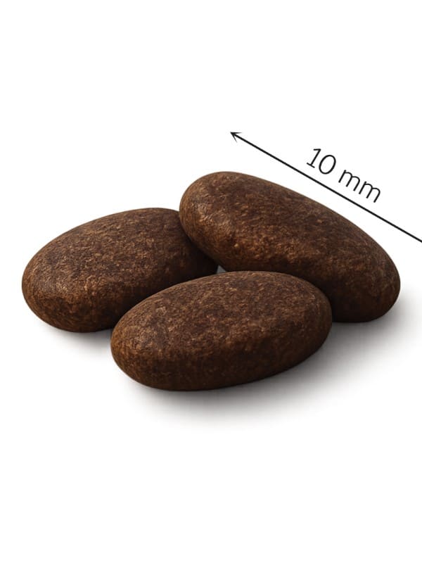 Ibero Grain-free Dog Medium & Maxi Adult Salmon, 2kg